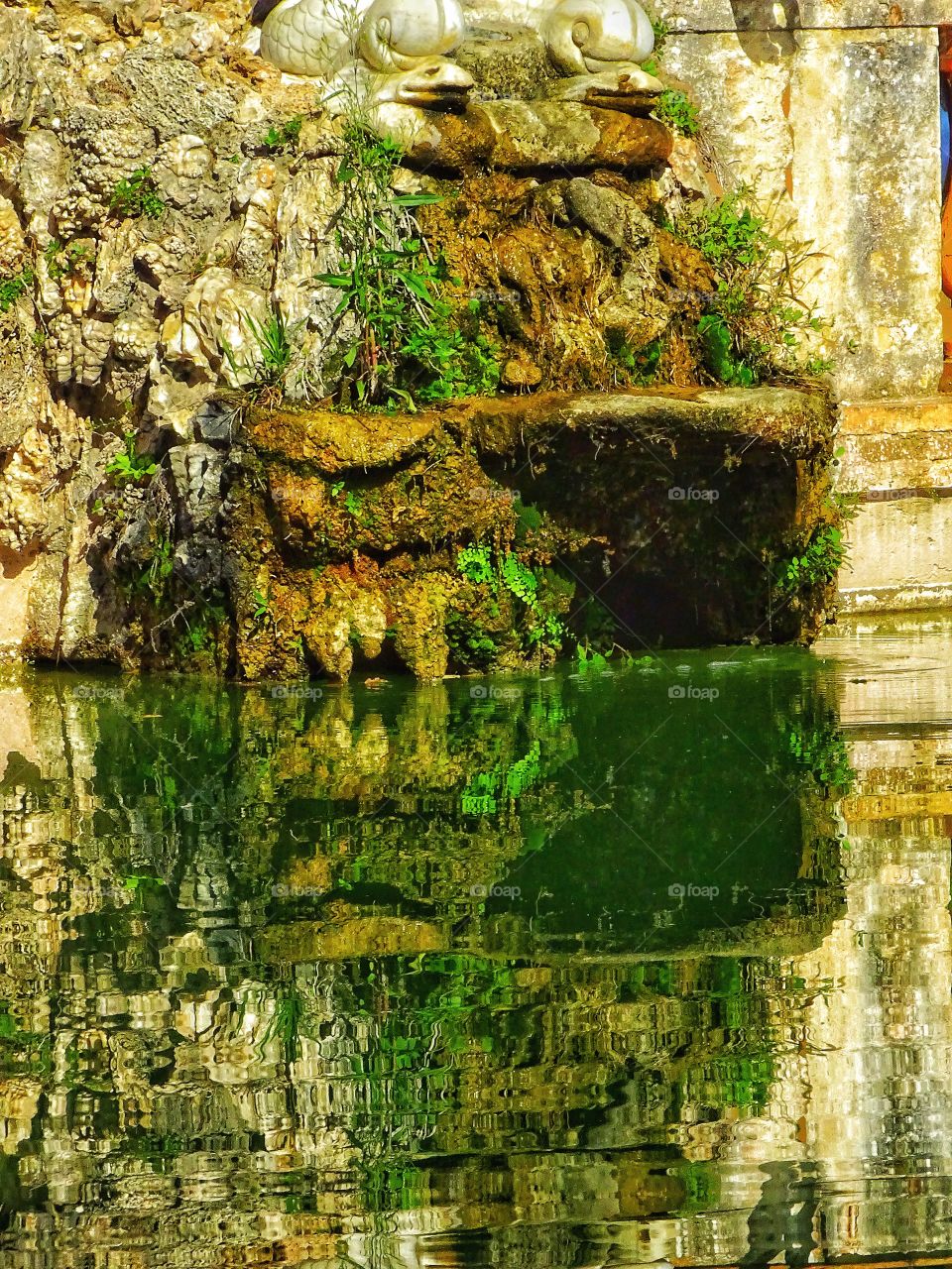 The reflection in the water