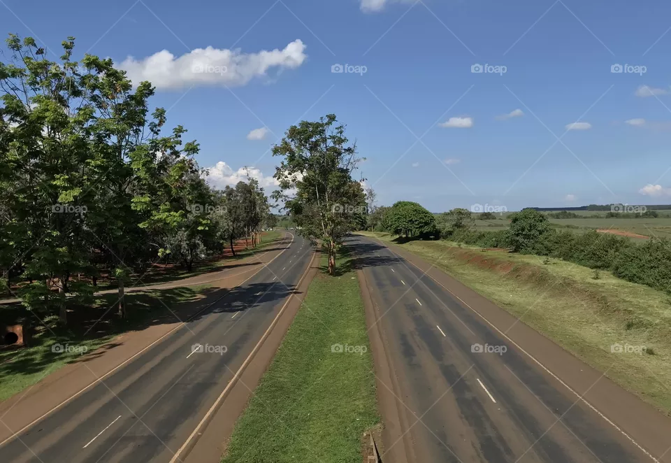 Thika kenya superhighway with exotic trees on the highway sides