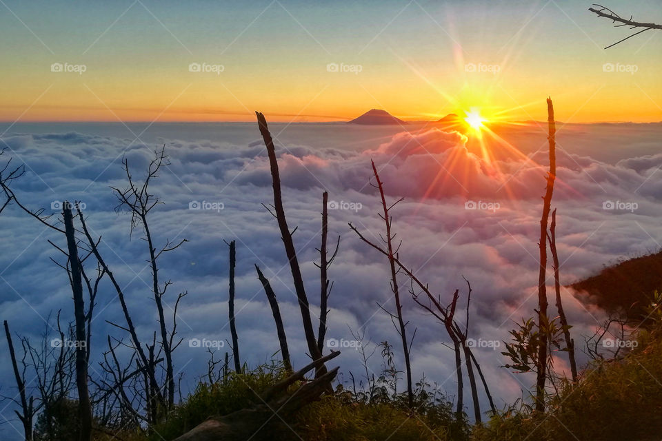 what do you love? saltwater sea or sea of clouds? maybe I love sea of clouds more. although it must be with a greater effort to claim a mountain. i take this photo from Merbabu mountain 3145 masl or 10318 ft