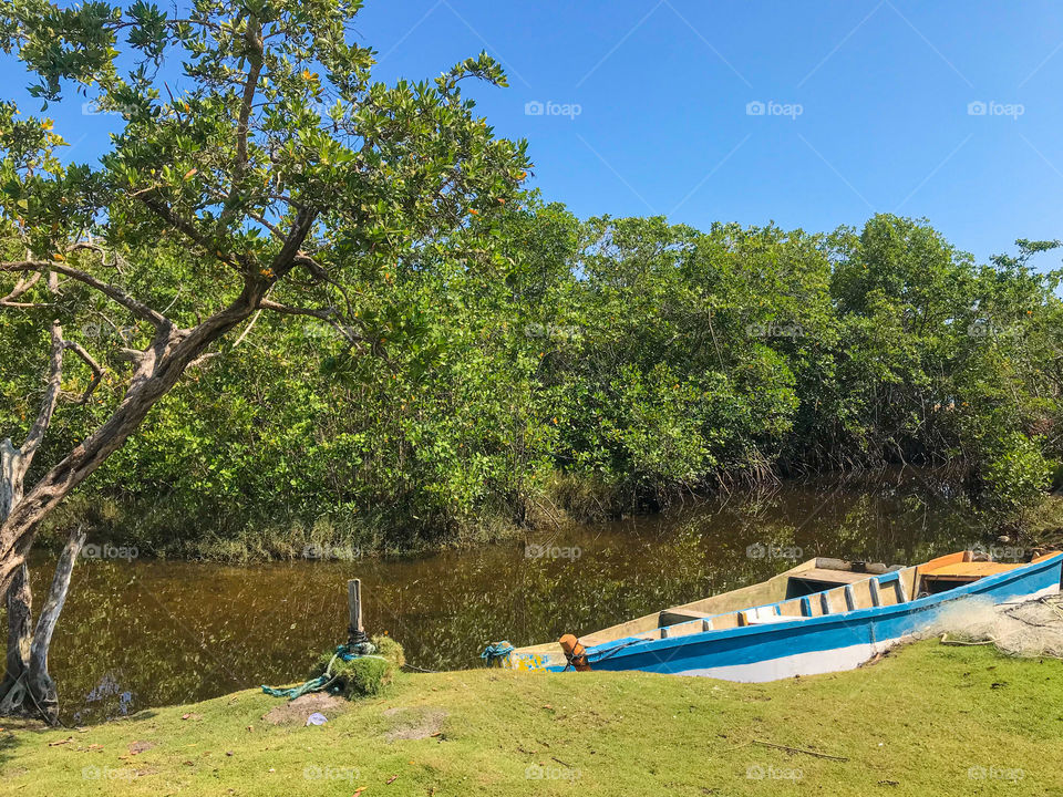 Sensacional rio de água doce em coroa vermelha Bahia brasil 🇧🇷