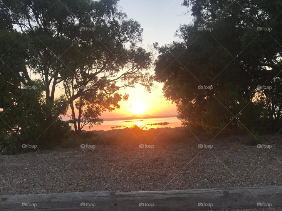 A beautiful sunset where the sun throws its rays through the trees. Formidable colors.