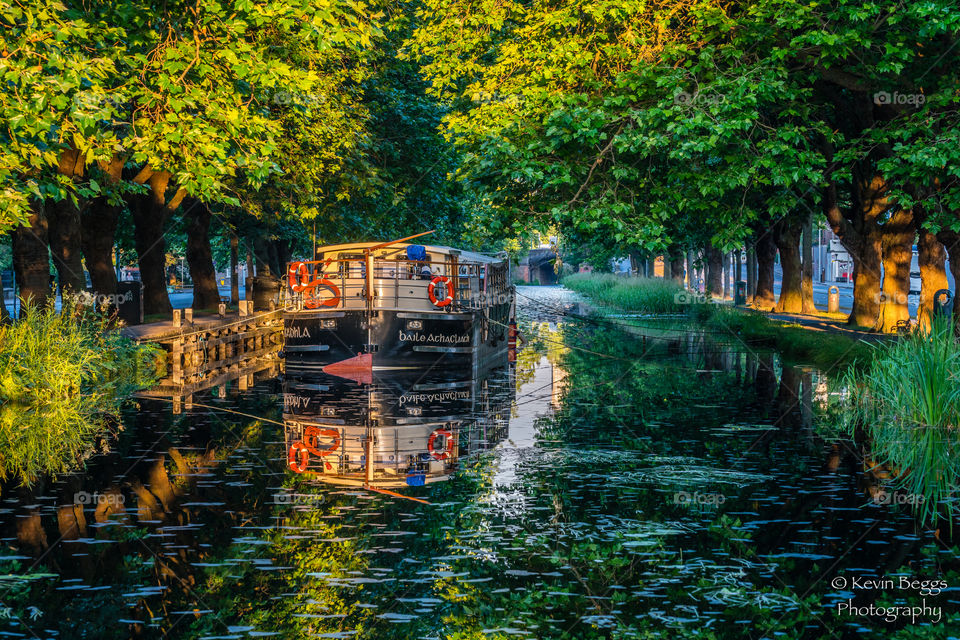 Morning on the Grand Canal, Dublin, Ireland. 