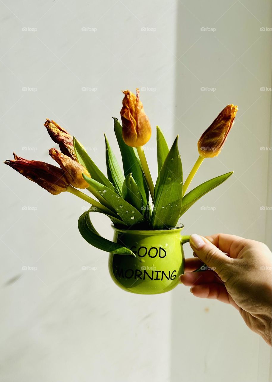 Delicate tulips in a cup 