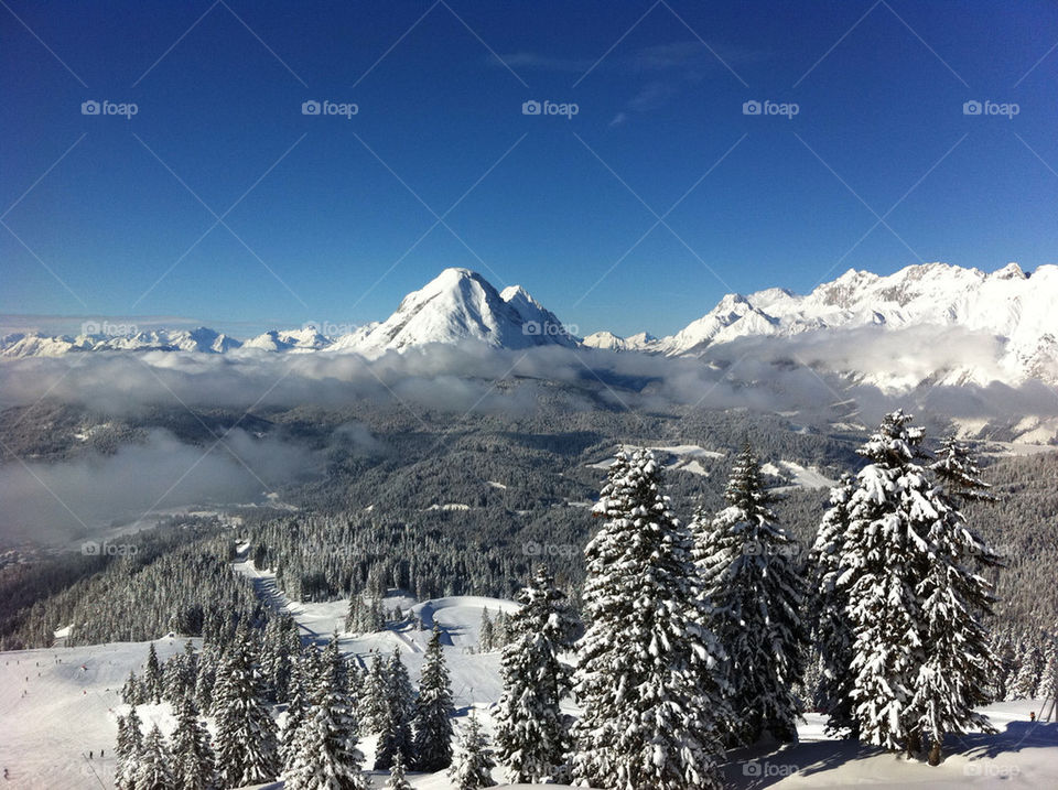 snow landscape mountain trees by andyamc