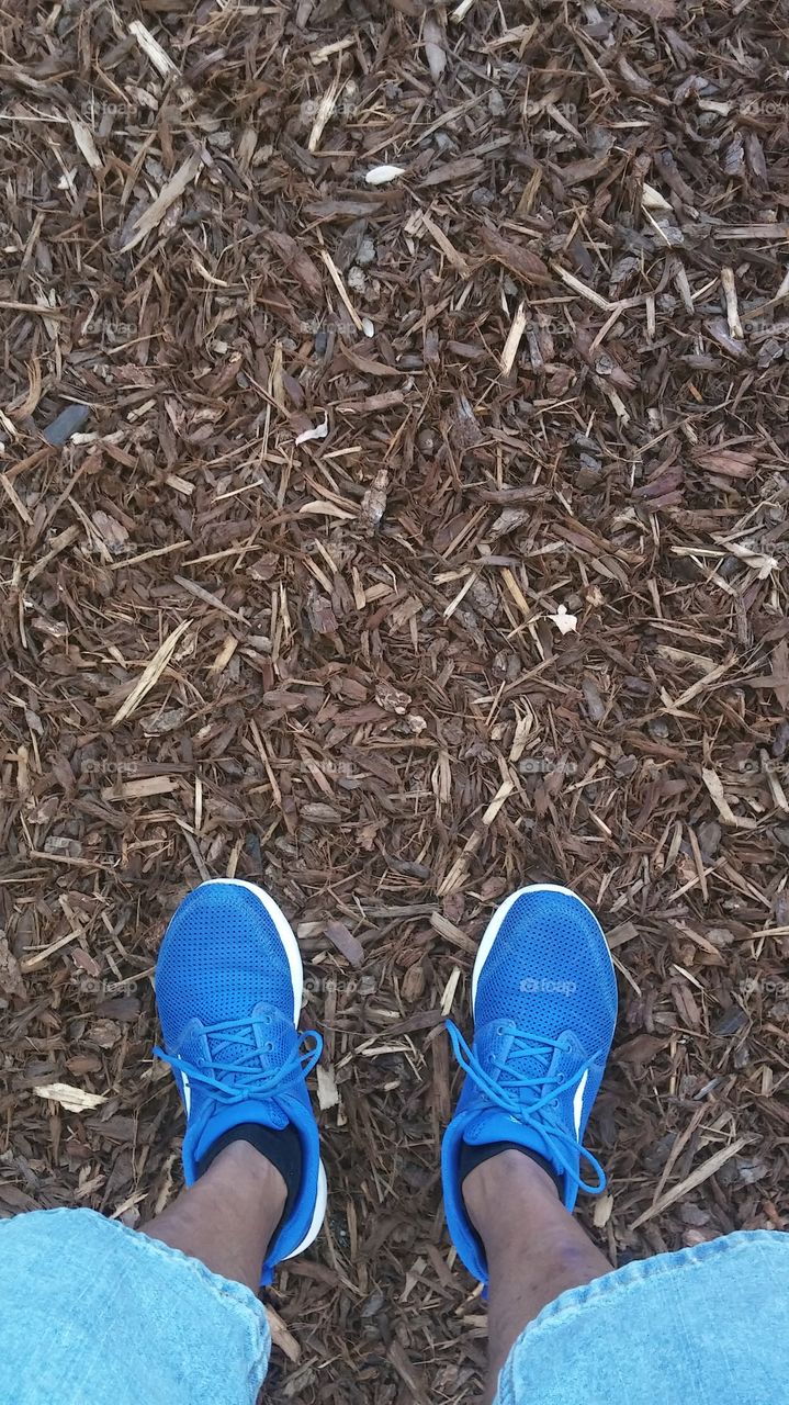 wood chips on the corner of 14th and S