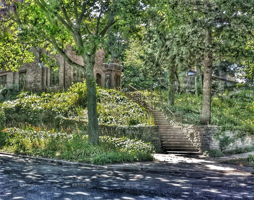 Beautiful House and Lawn. Steps Lead to Front Door