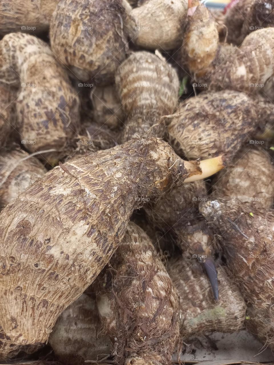 O inhame é um tubérculo rico em nutrientes, como a vitamina C, vitamina B6, potássio, magnésio, fibras e folato (B9), que desempenham funções essenciais para o fortalecimento do sistema imunológico, formação de glóbulos vermelhos...