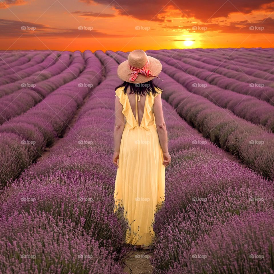 Young beautiful woman in yellow dress through lavender rows at sunset. 