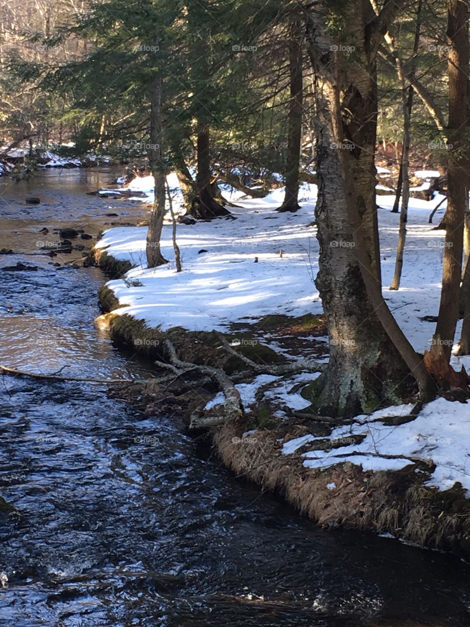 Poconos mountain river.