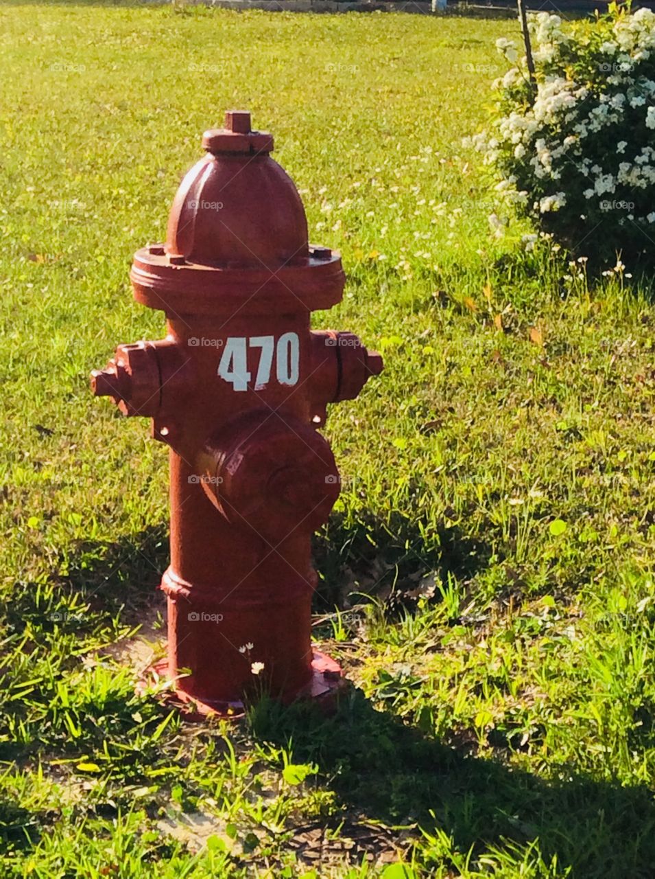 Fire hydrant 