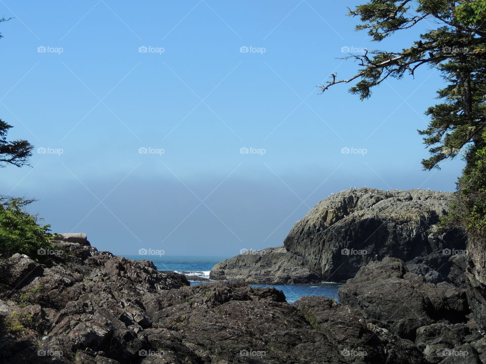 PacificRim National park