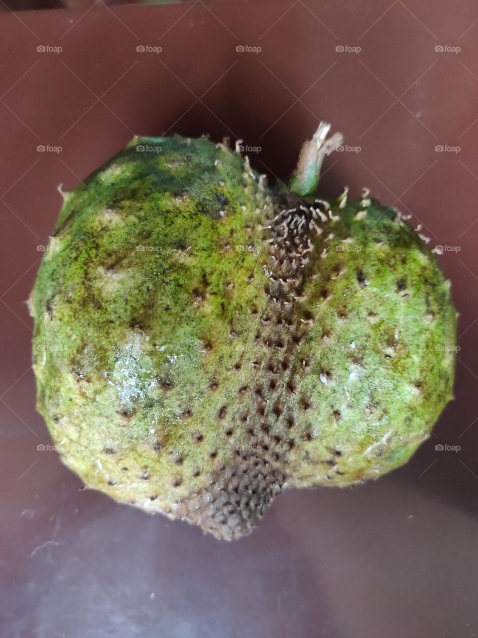 soursop