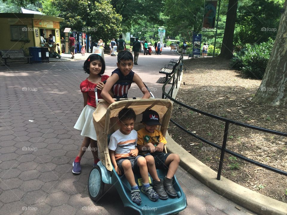 Kids walking at the zoo