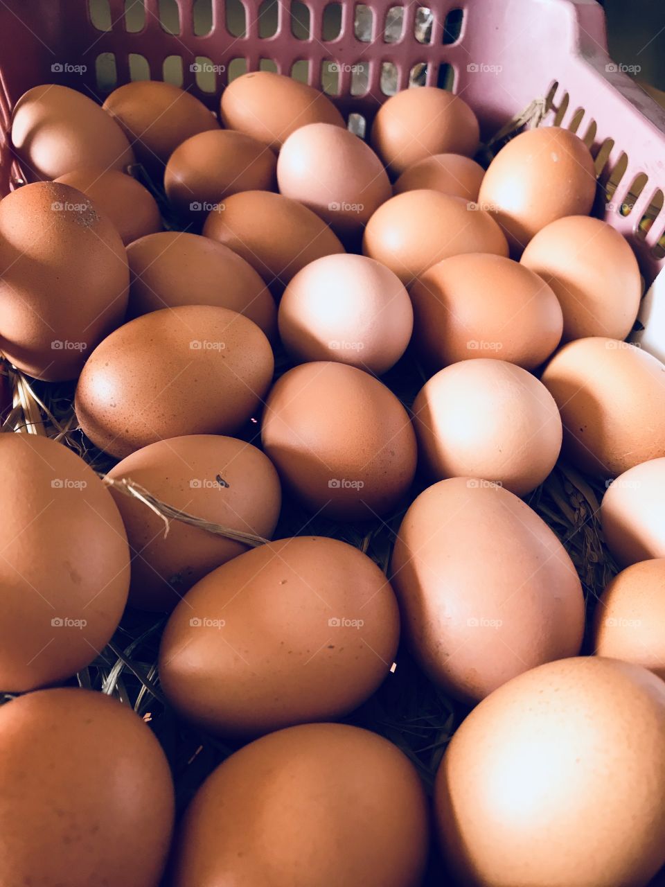 Eggs 🐣