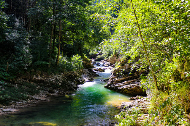 Nature