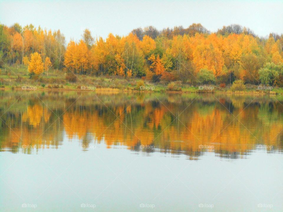 Trees reflected on the surface of a lake in autumn