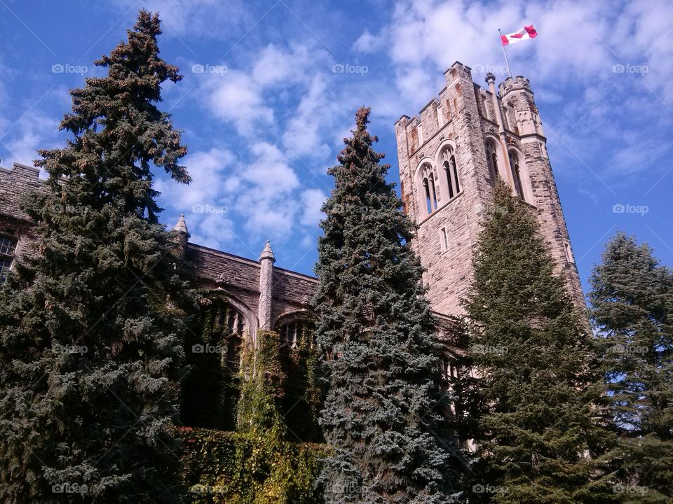 Western University London Ontario