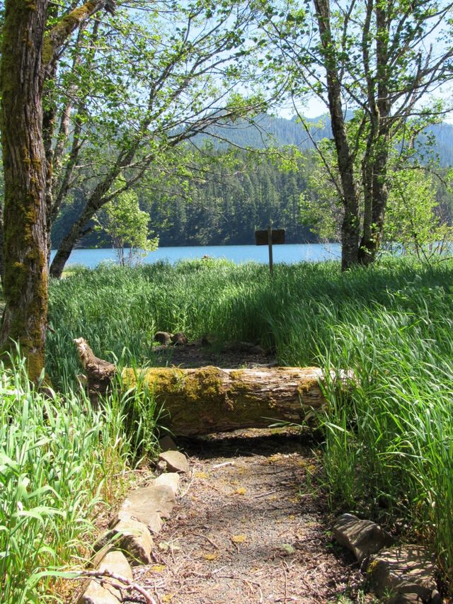 Hiking trails