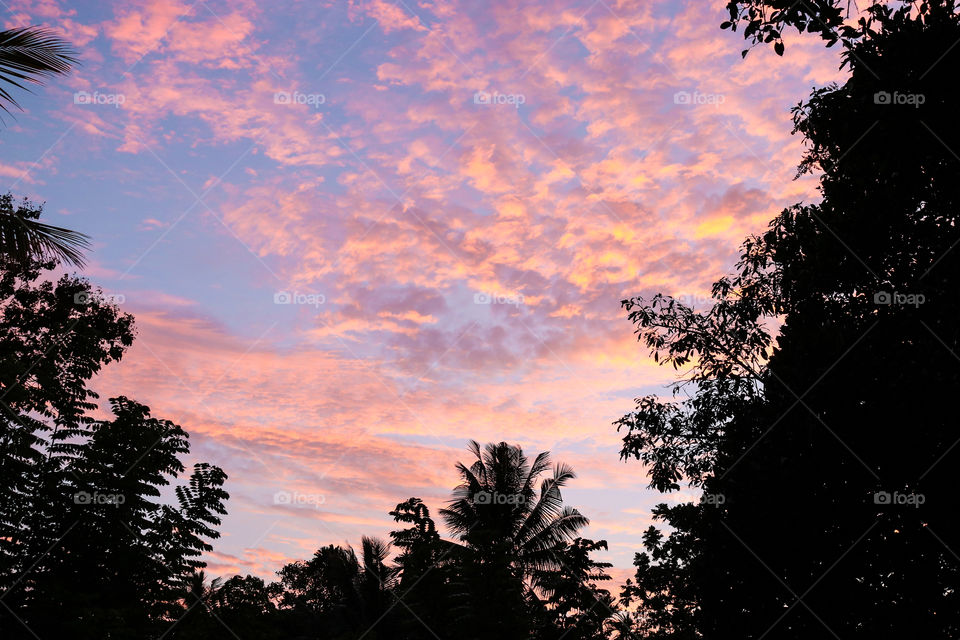 Sun set in the sri lanka jungl