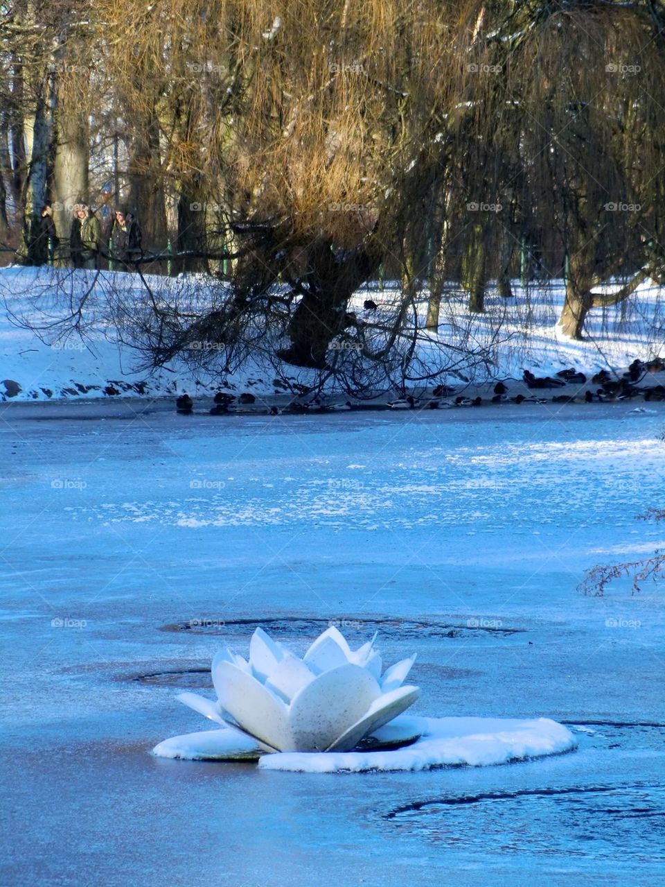 Wintertime in sweden