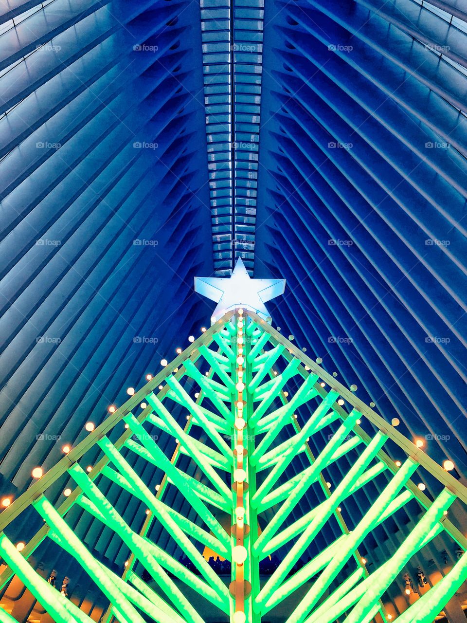 Light tree at the Oculus