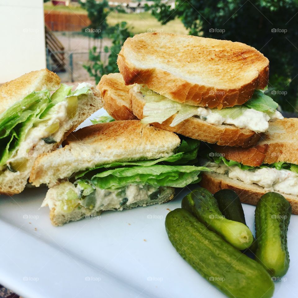 Fun in the sun! The perfect tuna sandwich on lightly toasted French bread with a baby pickle. 