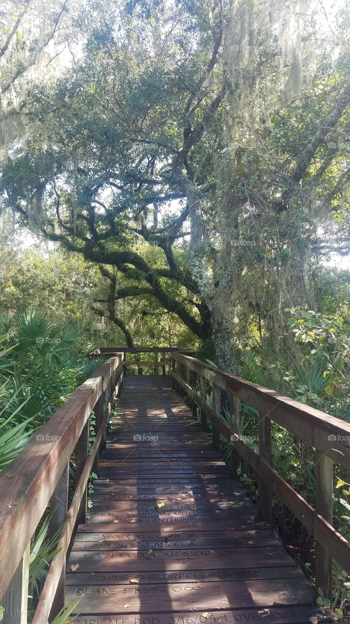 Turkey Creek Nature Preserve in Brevard County,  FL