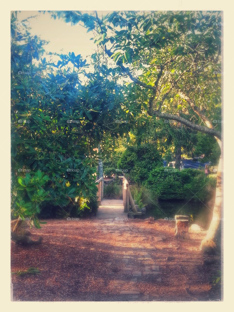 Serene Path