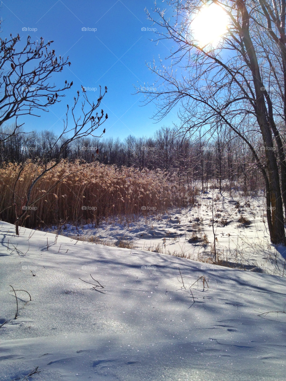 snow winter landscape sky by somebeach