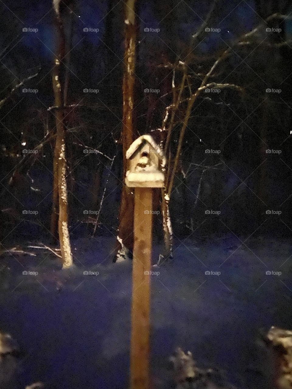 Birdhouse in storm