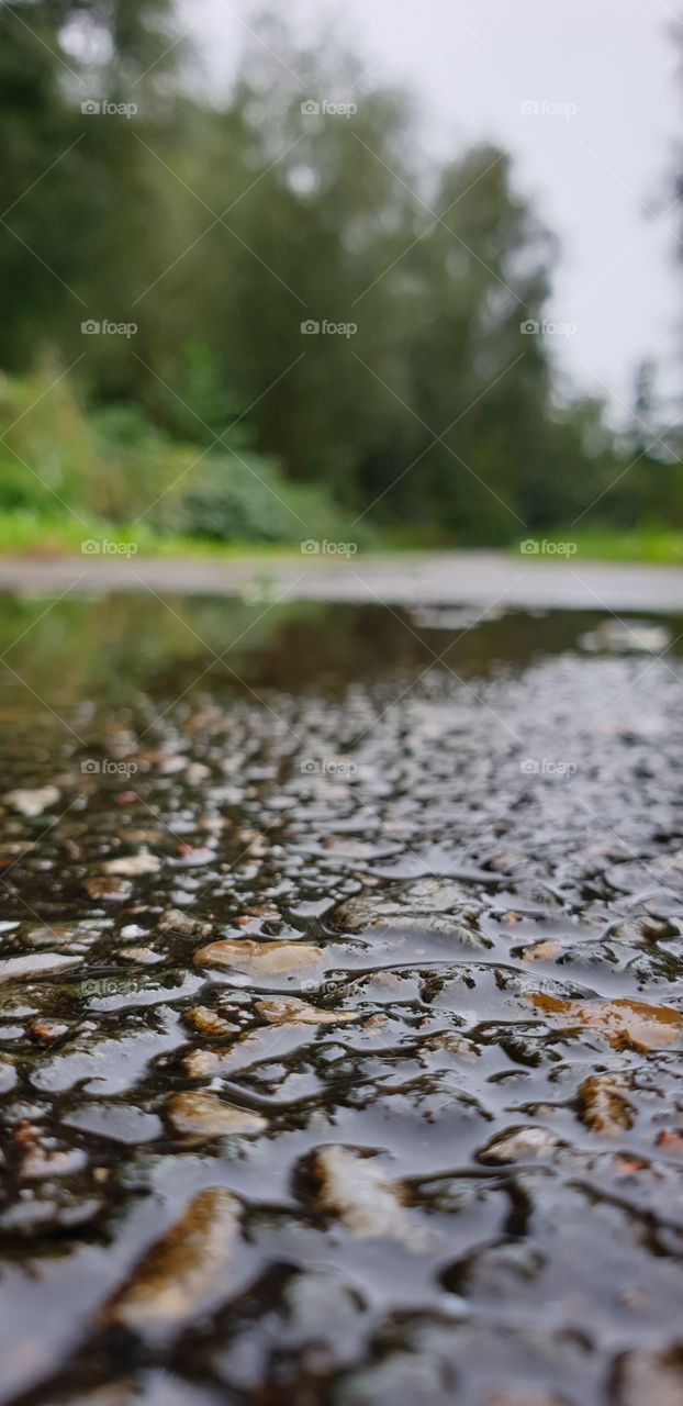 Wet asphalt