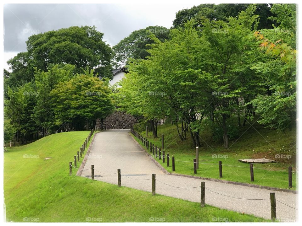Fabulous green in the beginning of summer, Kanazawa Castle, Kanazawa prefecture, Japan