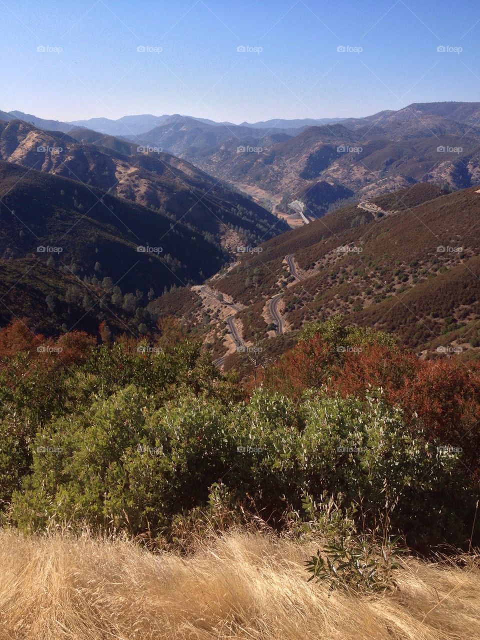 View on a Sinuous Road