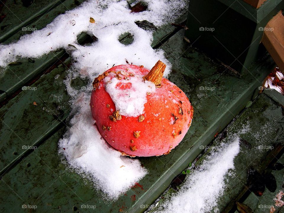 Frozen pumpkin