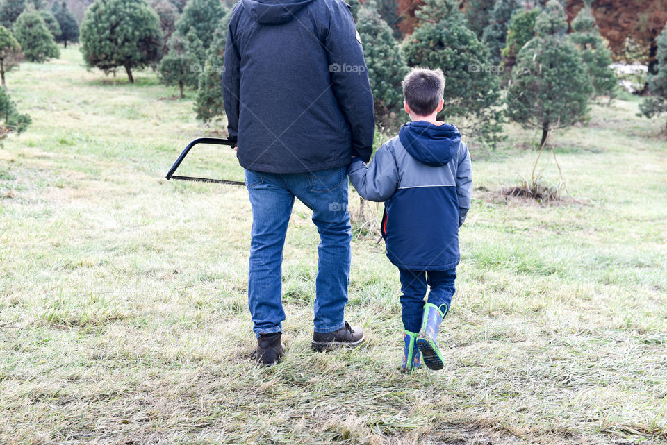 Father and son walking together at a tree farm to cut a Christmas tree