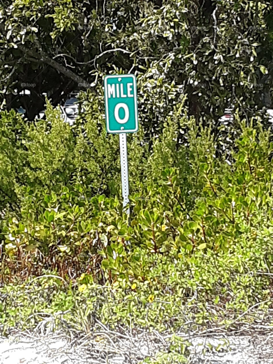 the beginning and the end