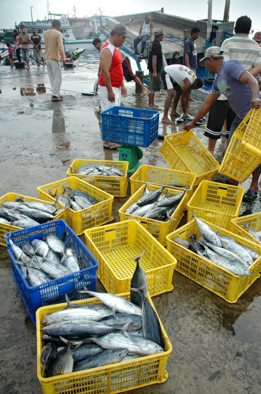 fish market