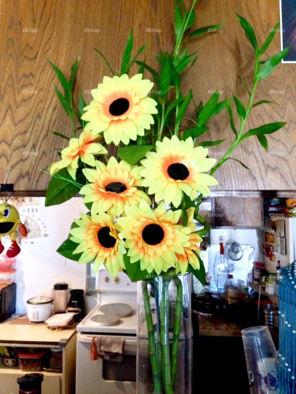 House Plants In Pots

Published by:
HappyBrownMonkey 