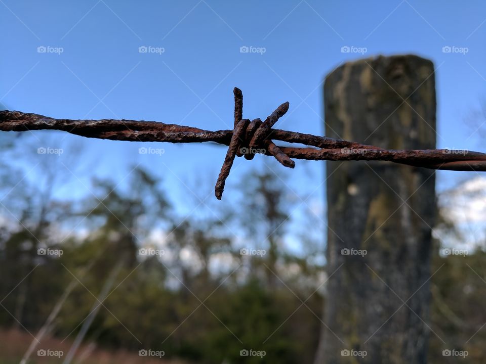 Barb wire fence
