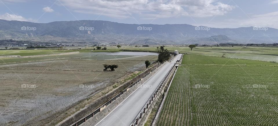 aerial view of the countryside in the summer