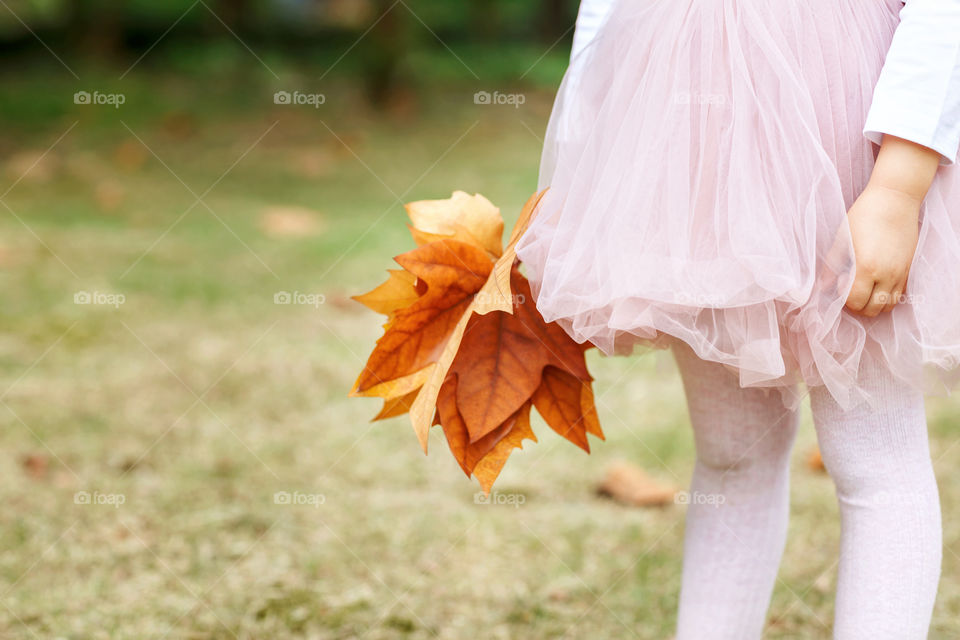 Little girl in tutu skirt holding maple leaves 