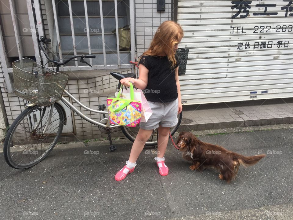 Bike and dogs in kawasaki 