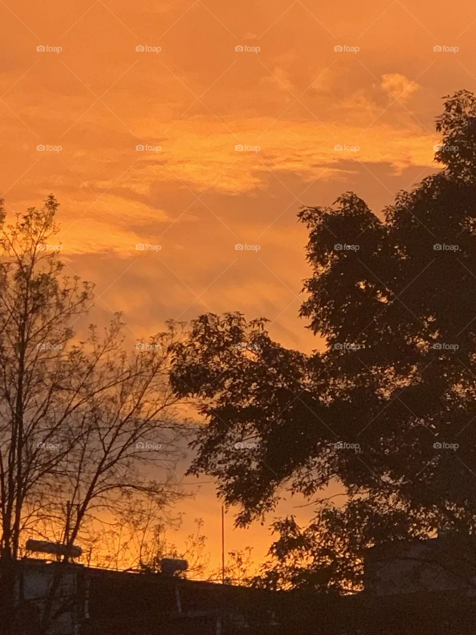 Beautiful Sunset