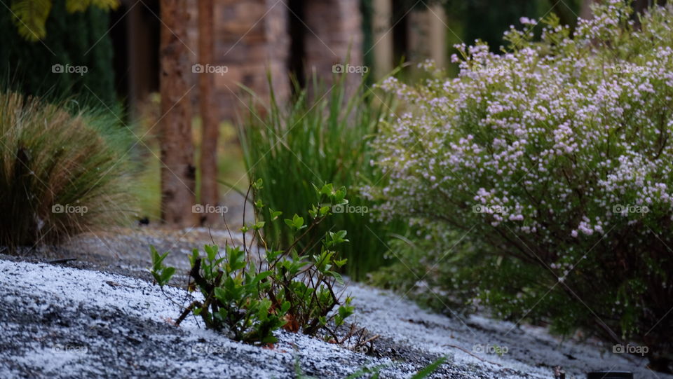 After a hail storm