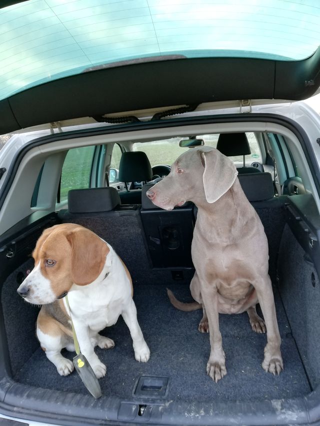 Ruby und Benno