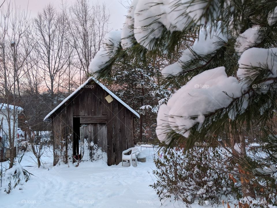 Wintery scene