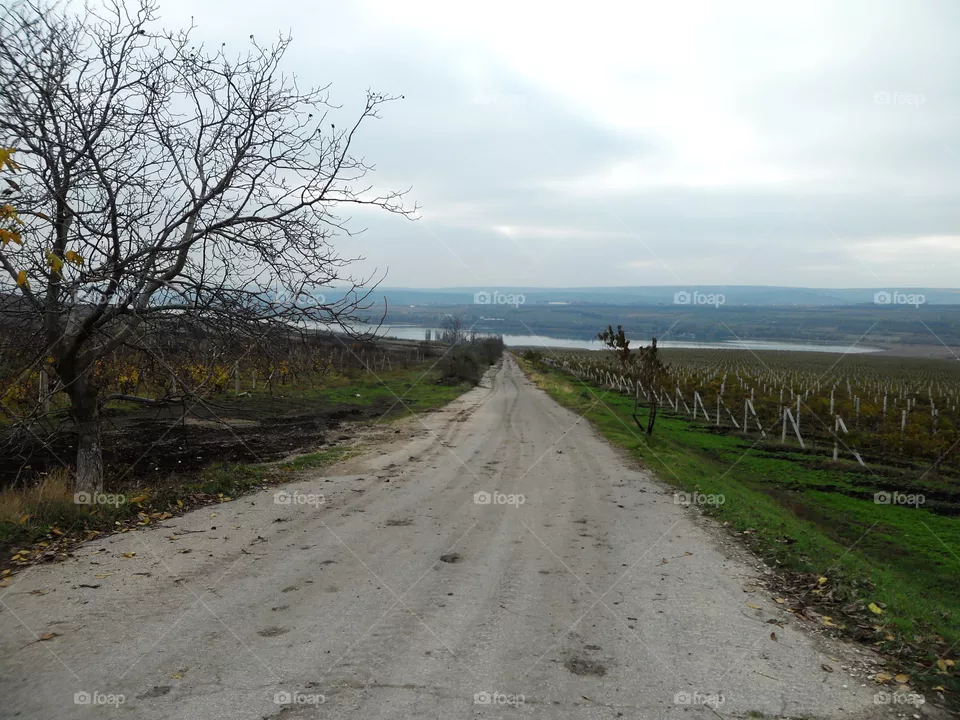 Beautiful rural life