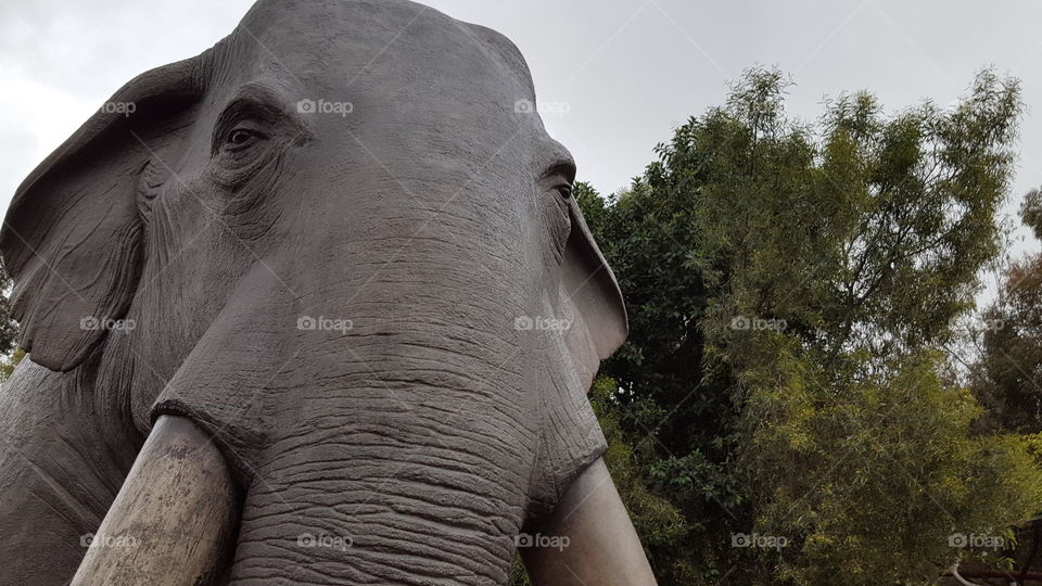 Realistic Elephant Statue