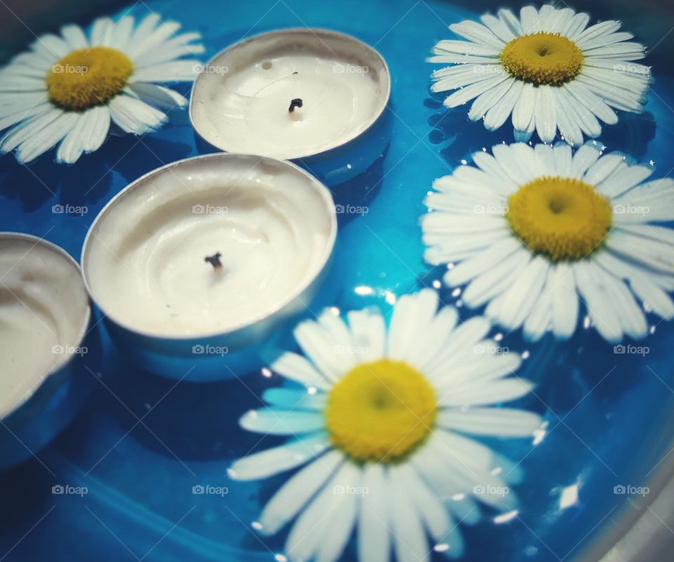 Daisy flowers and candles floating on blue water