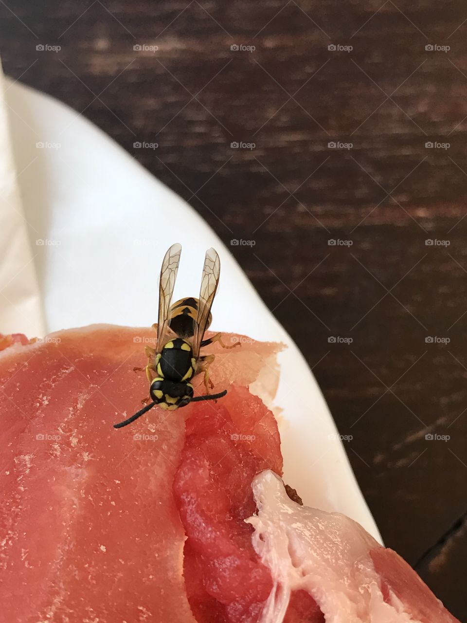 Bee & ham sandwich 